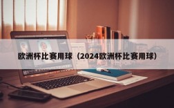 欧洲杯比赛用球（2024欧洲杯比赛用球）