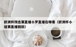 欧洲杯预选赛直播小罗直播在哪看（欧洲杯小组赛直播回放）